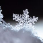 Dormant macOS Backdoor ChillyHell Resurfaces