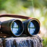 Dutch gambling sets out 2026 supervisory agenda vision