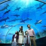 Facing licence review, Resorts World Sentosa counts on $5.3B expansion