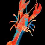 Moltbook, the Social Network for AI Agents, Exposed Real Humans’ Data