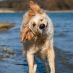 April’s employment law shake-up: What HR needs to do right now